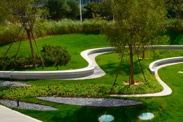 Озеленение участка